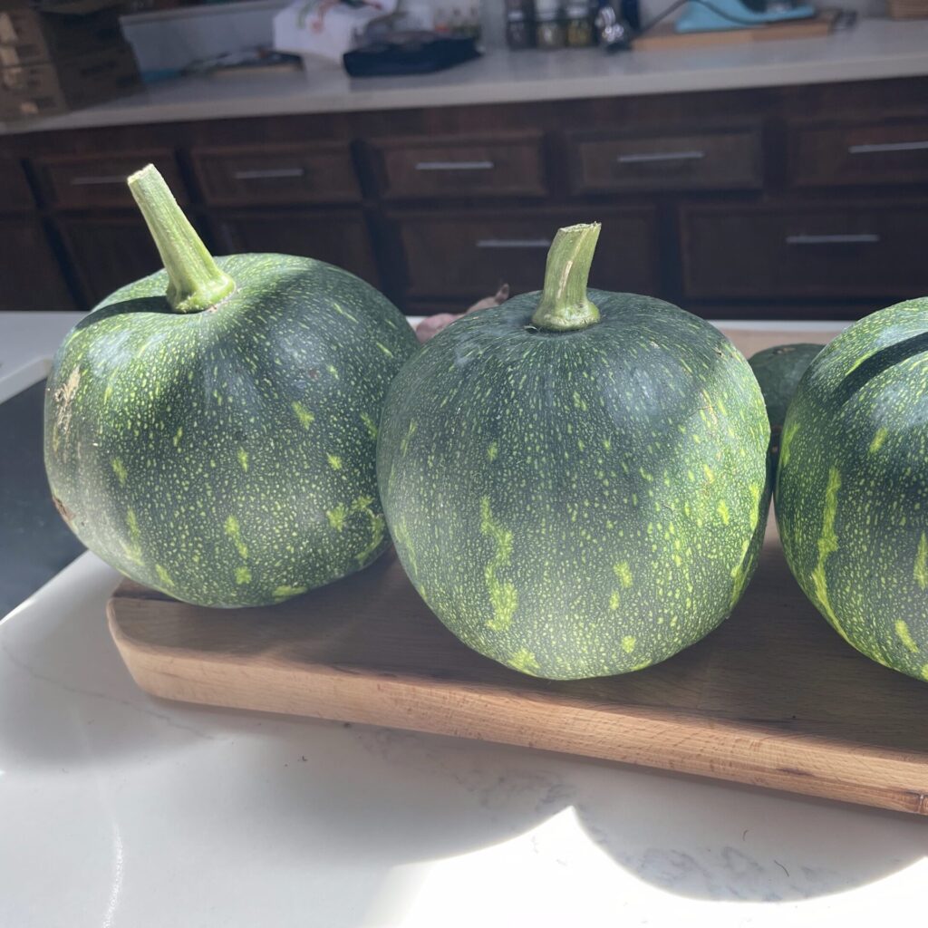 kabocha squash