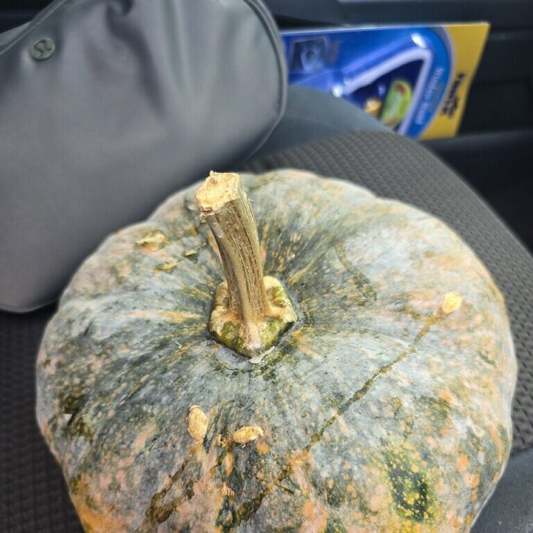 kabocha squash